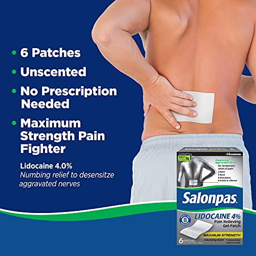 Salonpas Gel-Patch for Pain Relief, 6 count
