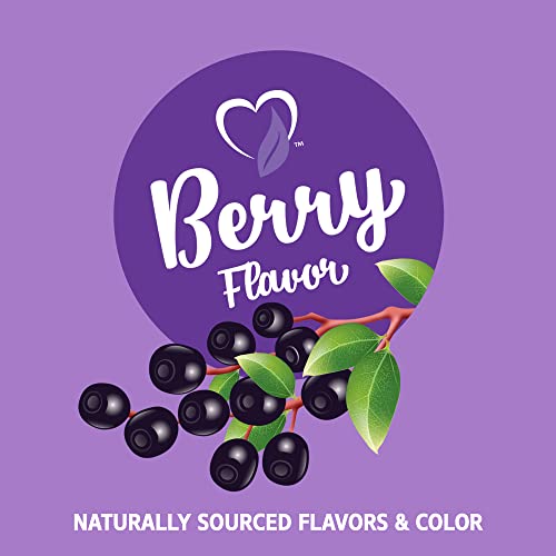 21st Century VitaJoy Sambucus Elderberry Gummies, Berry, 60 Count