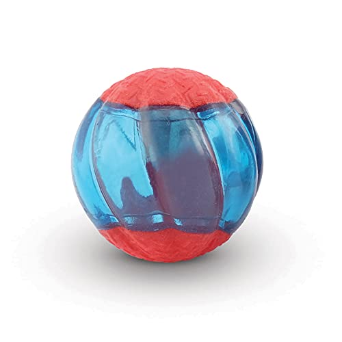 ZEUS Duo Balls with LED, Interactive Dog Toys, Large,96288