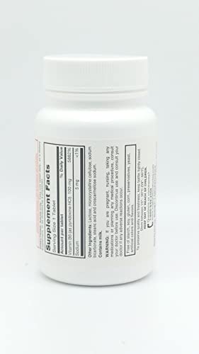 Rugby Laboratories Vitamin B-6 100mg Pyriodxine HCl Take One A Day Dietary Supplement Essential Protein Metabolism Energy Potency Guaranteed 100 Tablets (Pack of 1)