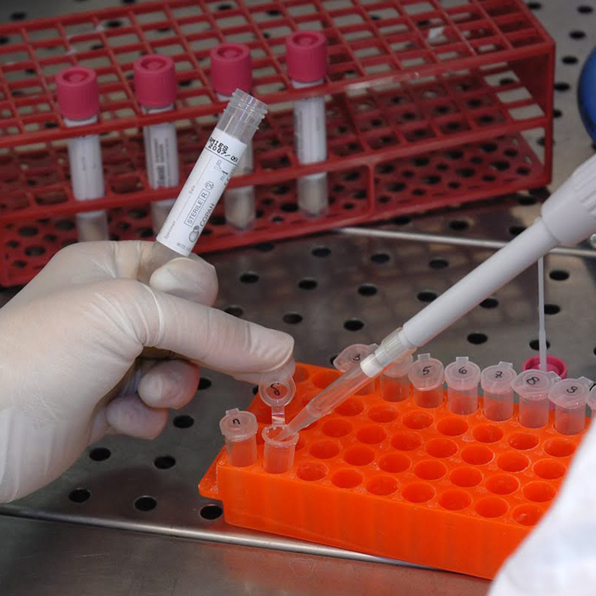 Specimen Collection and Transport System ESwab 80 mm Breakpoint from Tip End Sterile