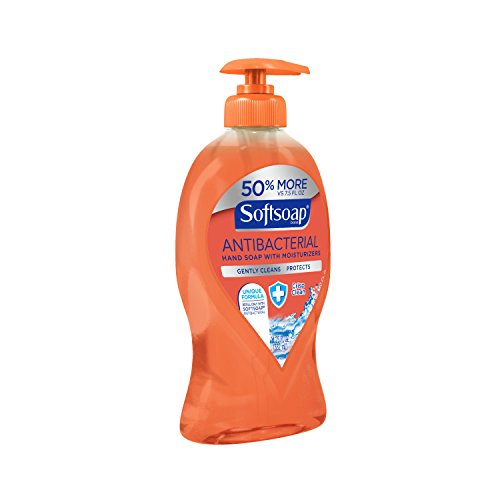 Softsoap Antibacterial Liquid Hand Soap Pump, Crisp Clean - 11.25 fluid ounce