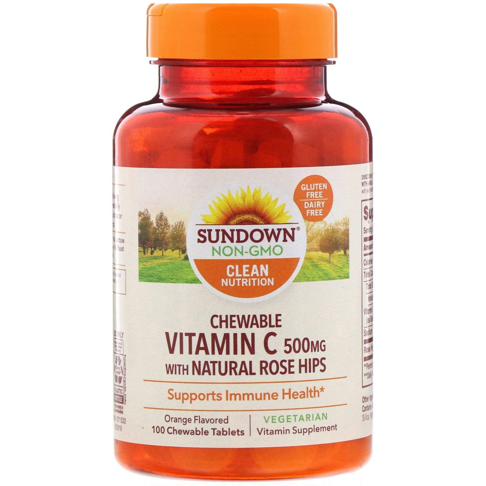 Sundown Naturals Chewable Vitamin C 500 mg 100 Tablets