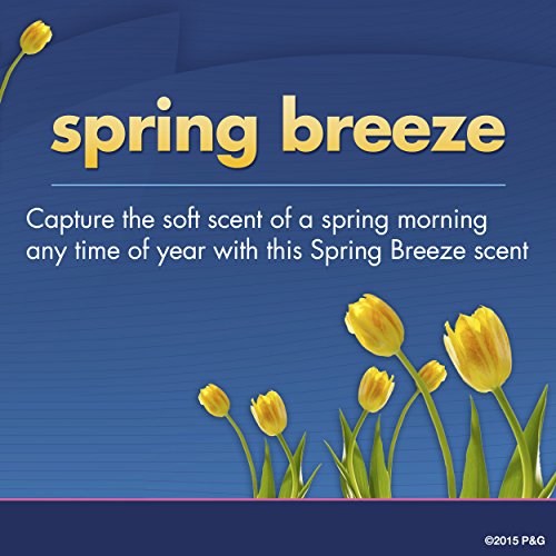 Secret Original Spring Breeze Scent Women's Invisible Solid Ph Balanced Antiperspirant & Deodorant 2.6 Oz (Pack of 6)